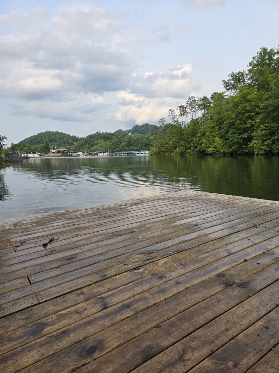 Private 16x16 swim platform dock