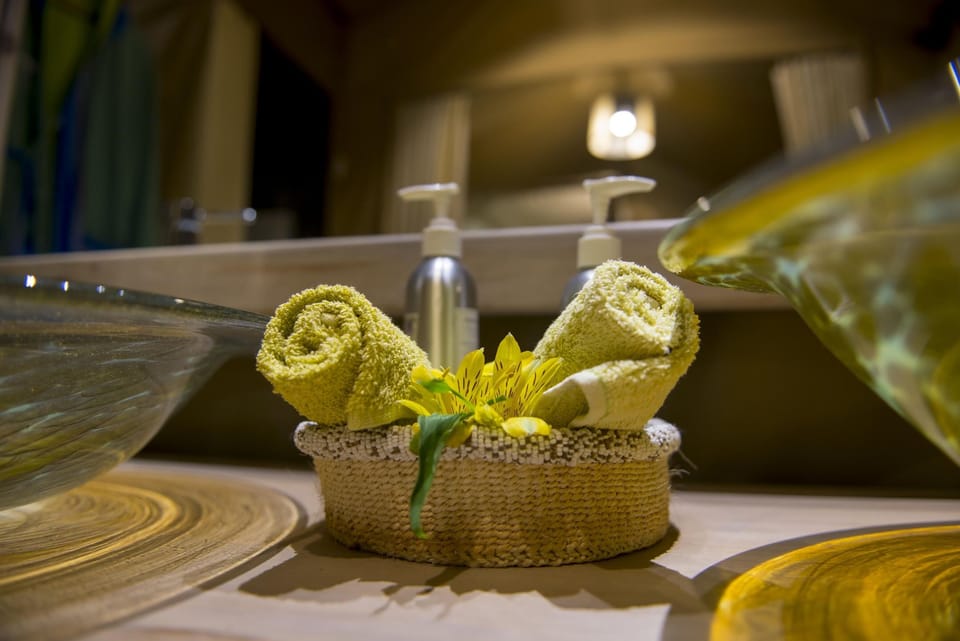 Standard Double Room, Park View | Bathroom | Shower, bathrobes, slippers, towels