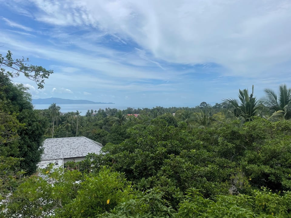 View from balcony
