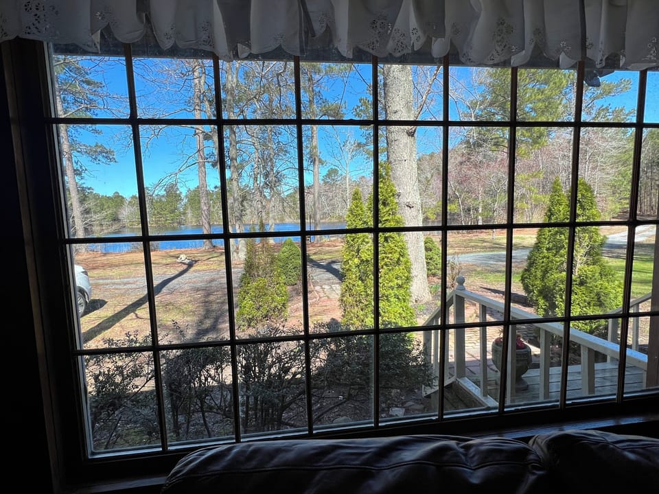 From Living Room lake view