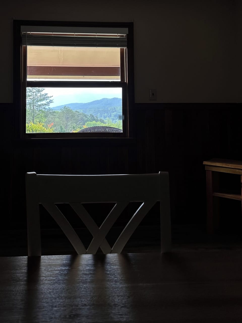 View of the mountains from dining room