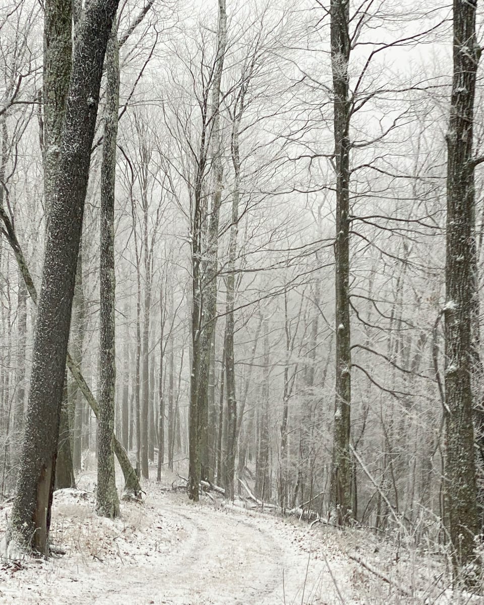Winter Hiking
