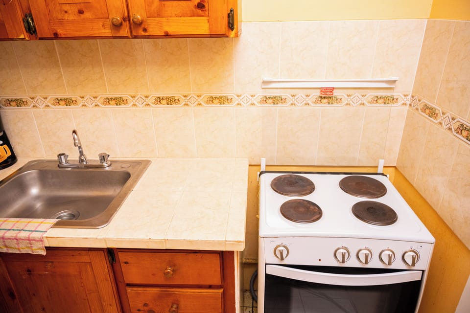 Economy Suite, Balcony, Garden View | Private kitchen | Toaster