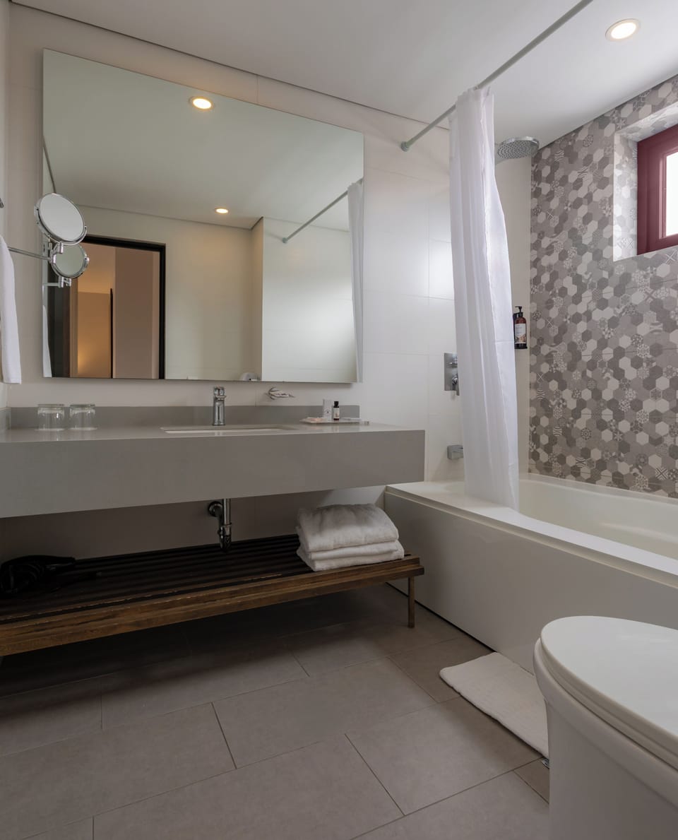 Suite | Bathroom | Shower, free toiletries, hair dryer, towels