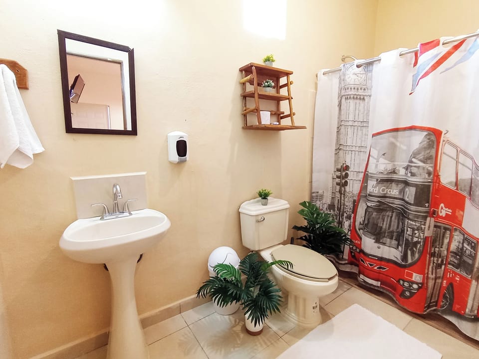 Deluxe Double Room | Bathroom | Shower, towels, soap, shampoo