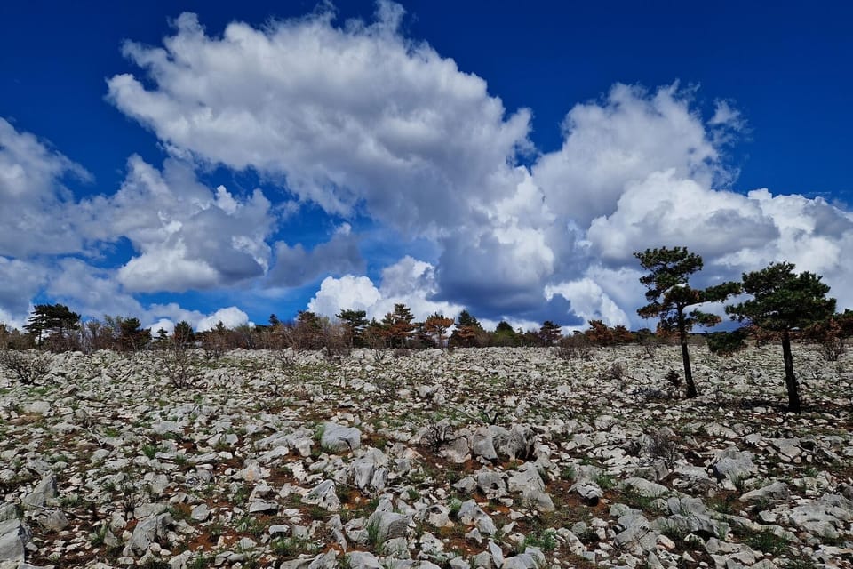 Surroundings [summer] (1-5 km)