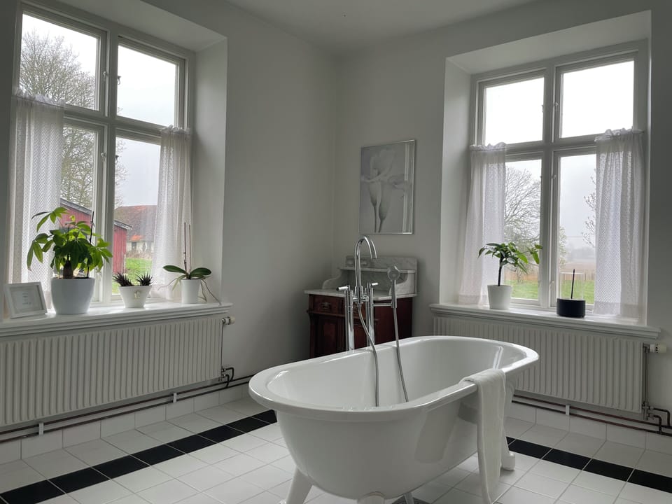 Bathtub, hair dryer, towels, soap