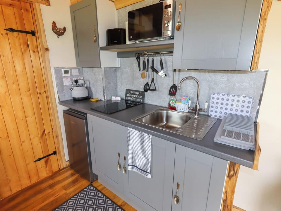 Fridge, microwave, toaster, cookware/dishes/utensils