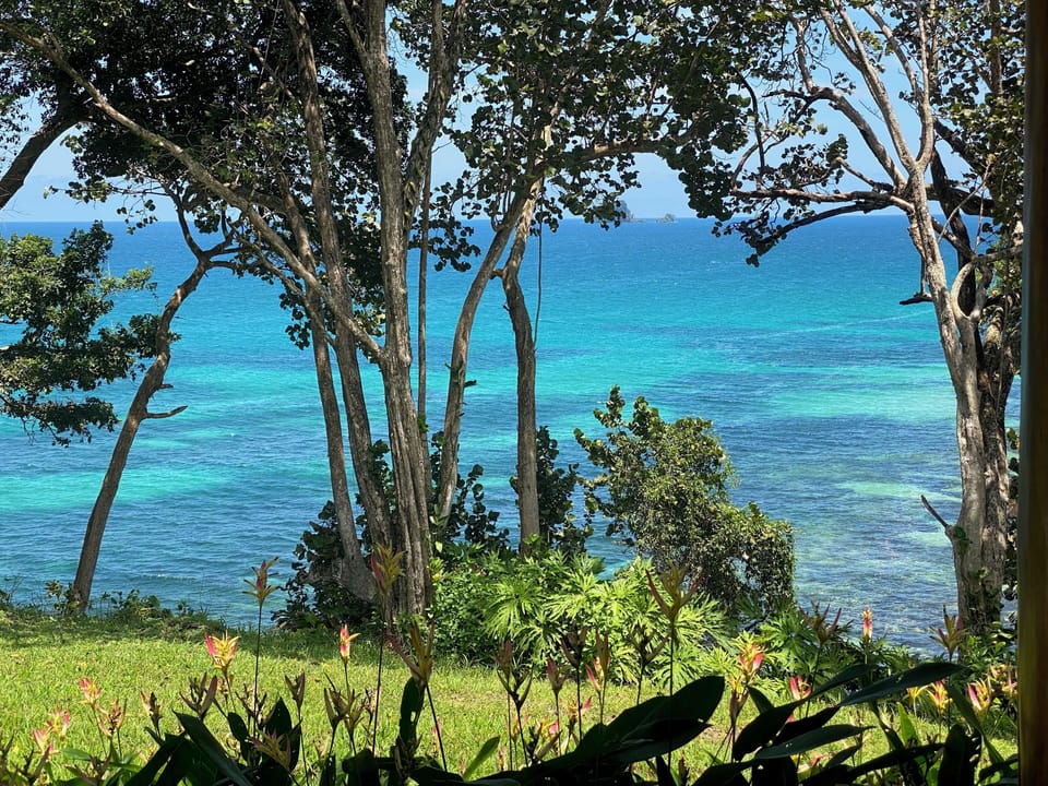 View from property