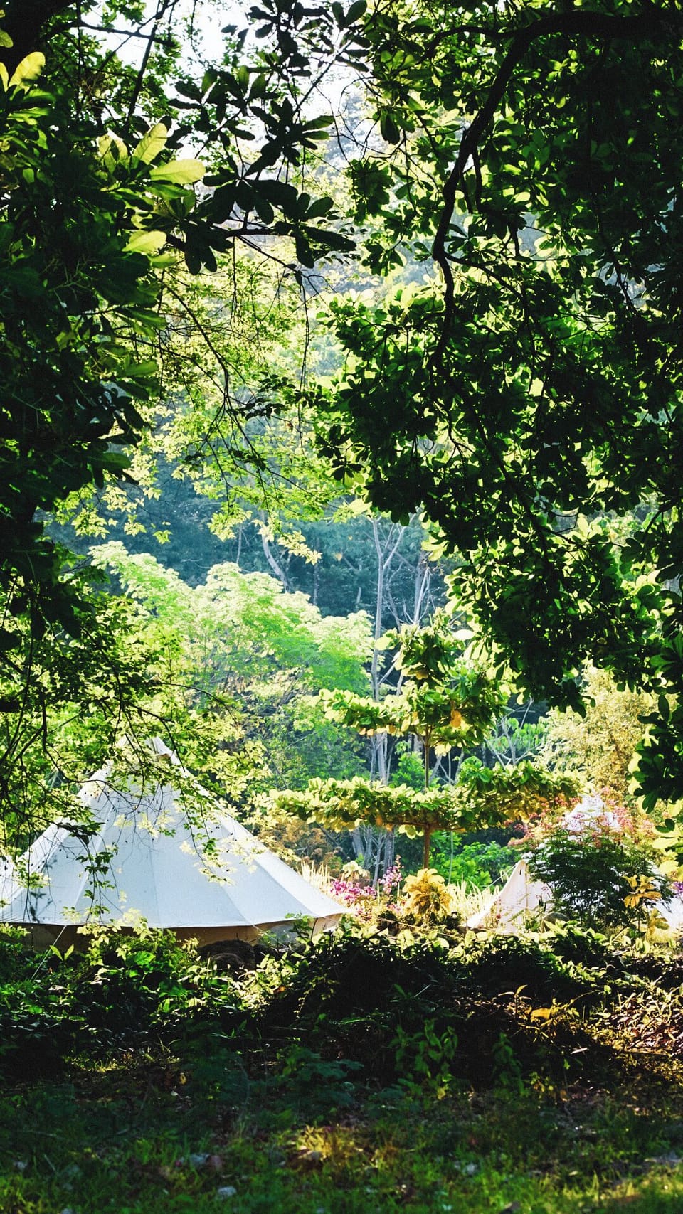 Comfort Tent, Garden View | Free WiFi