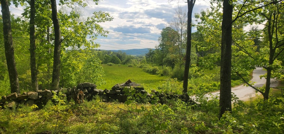 View from living room