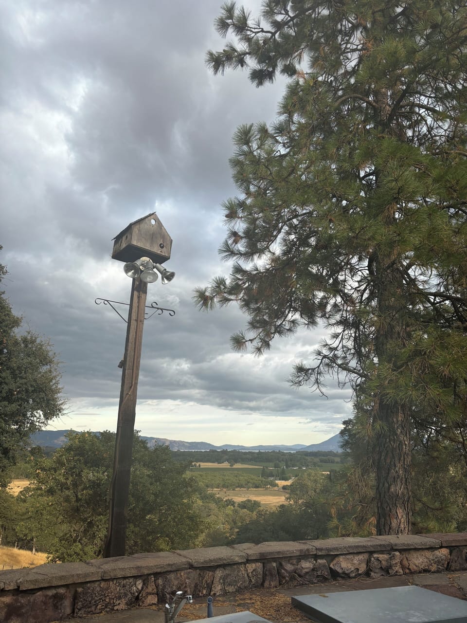 View from property