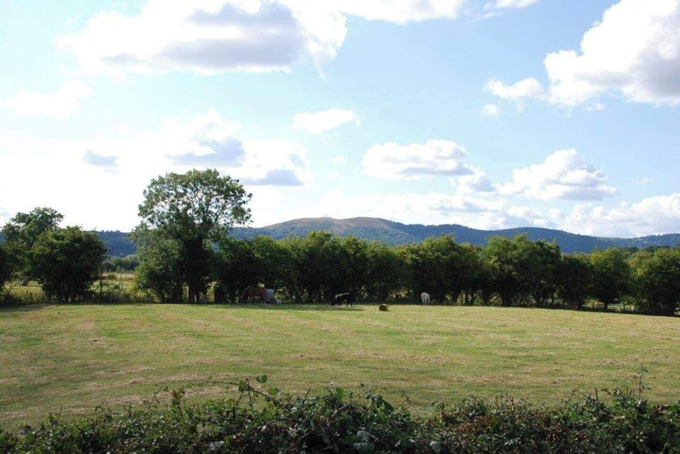 Image 18