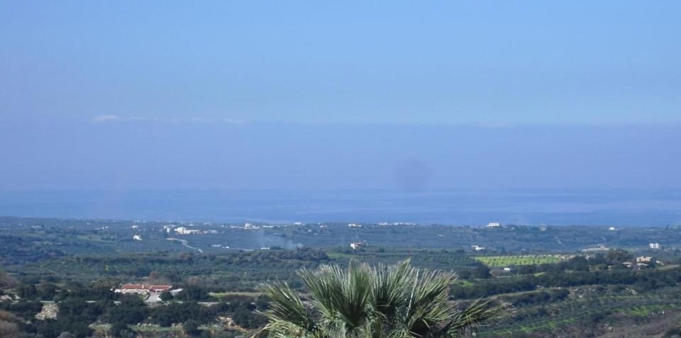 Region [summer] (>5 km)