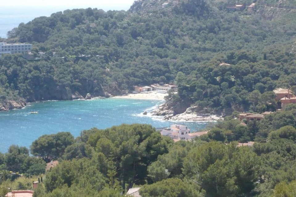Region [summer] (>5 km)