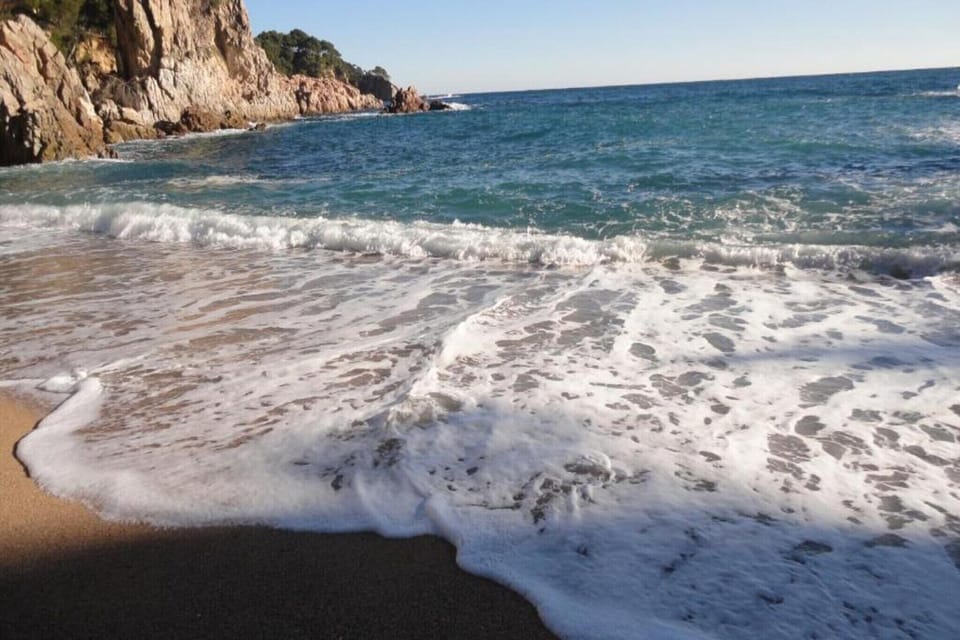 Region [summer] (>5 km)