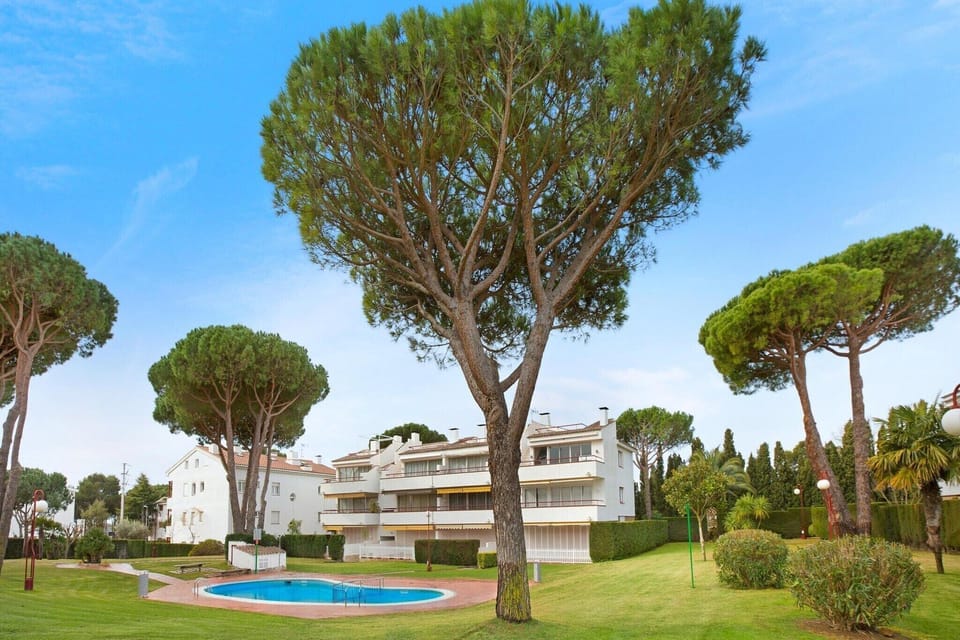 Immediate Surroundings [summer] (<1 km)