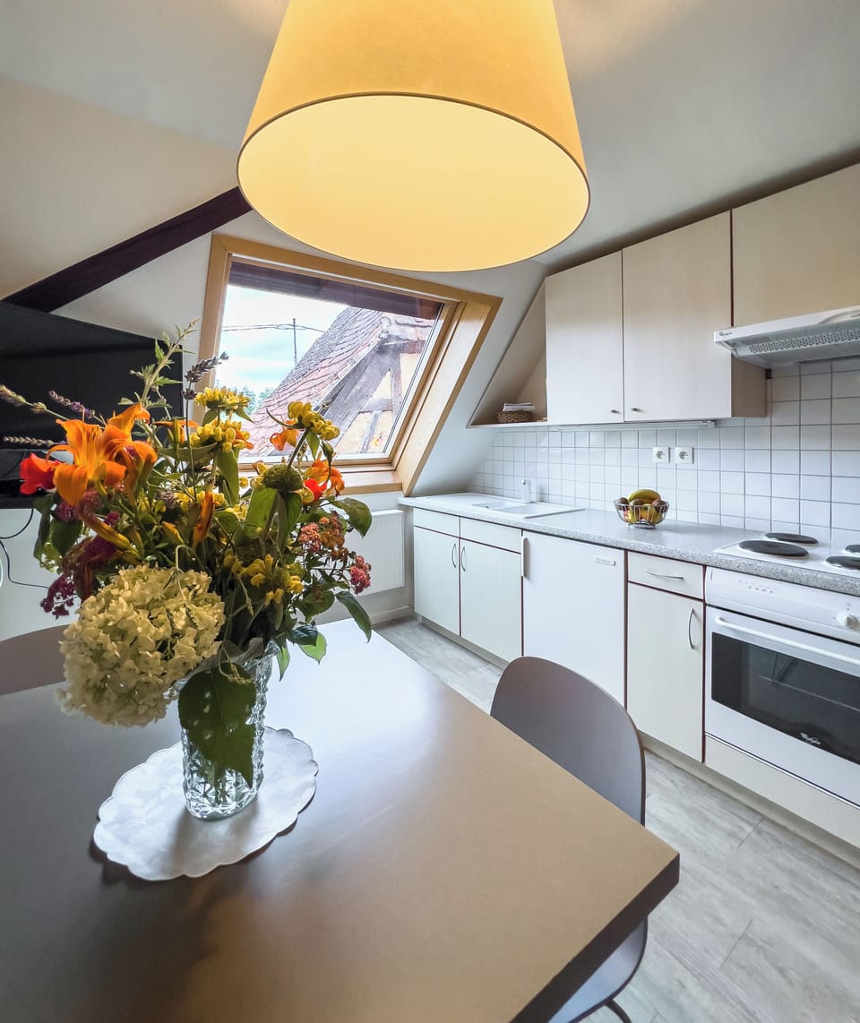 Comfort Suite | Private kitchen | Fridge, oven, stovetop, coffee/tea maker