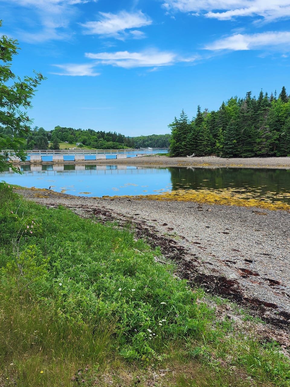 Boylston Picnic Park Island