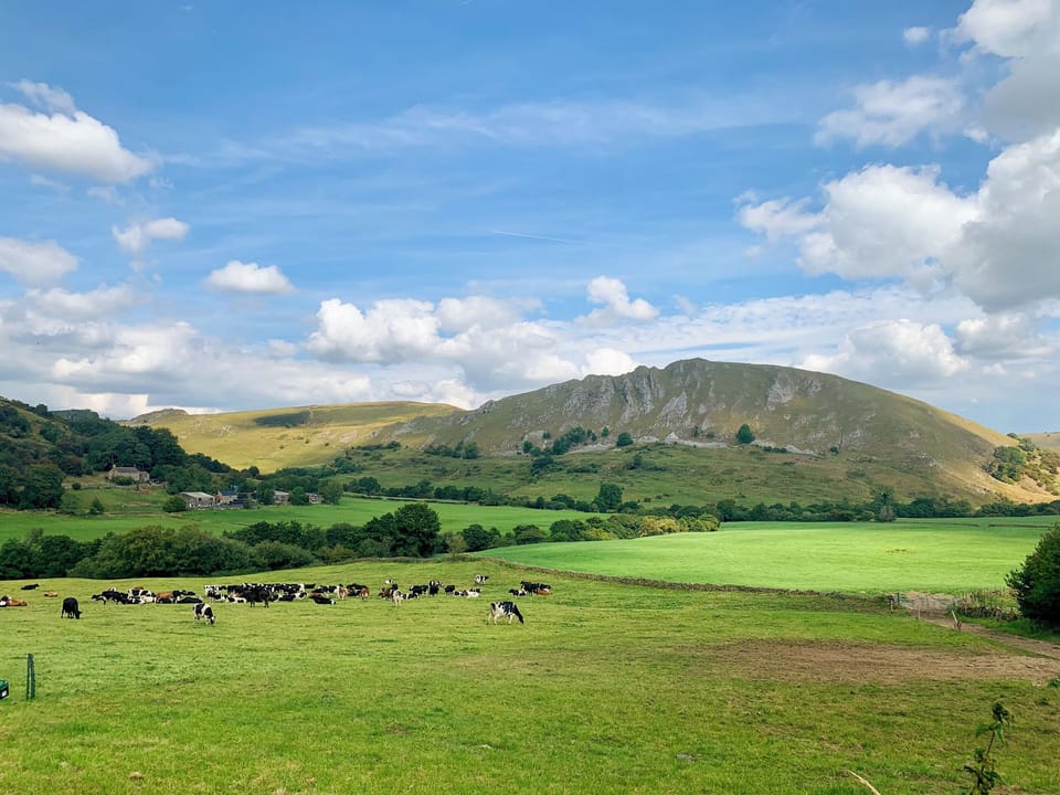 View | The Homestead, Leek