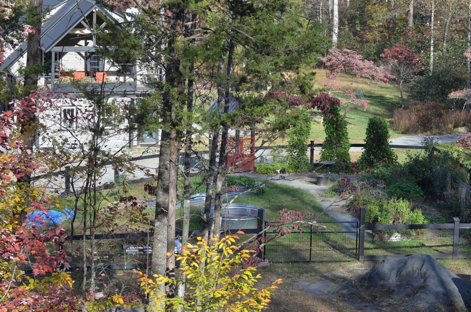 View overlooking our garden area