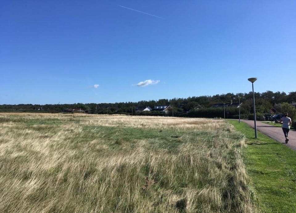 House | View from property