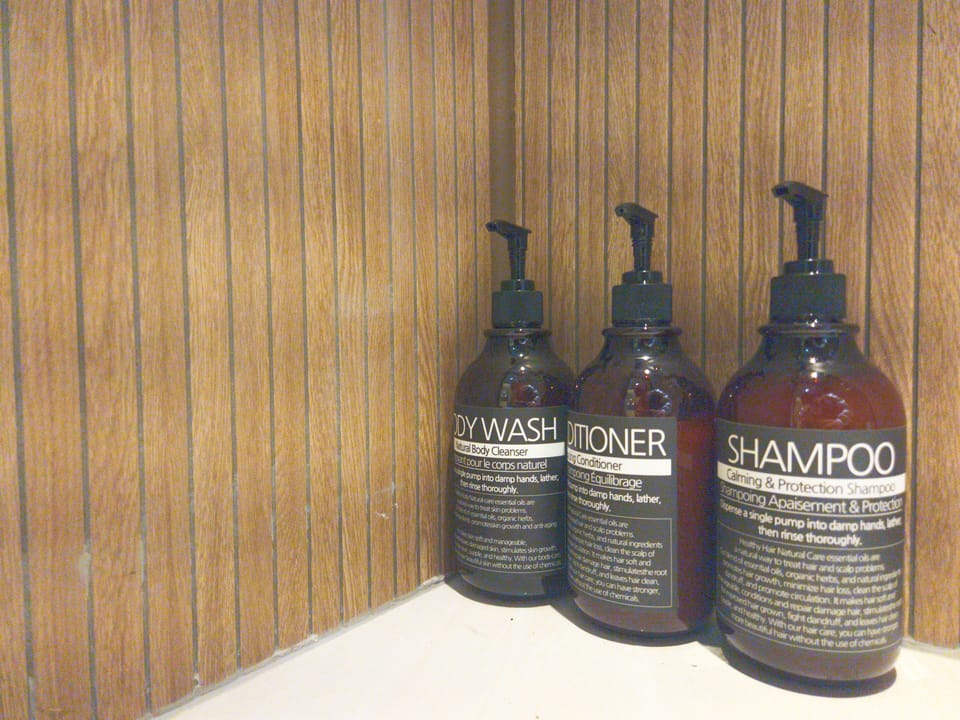 Shower, hair dryer, soap, shampoo