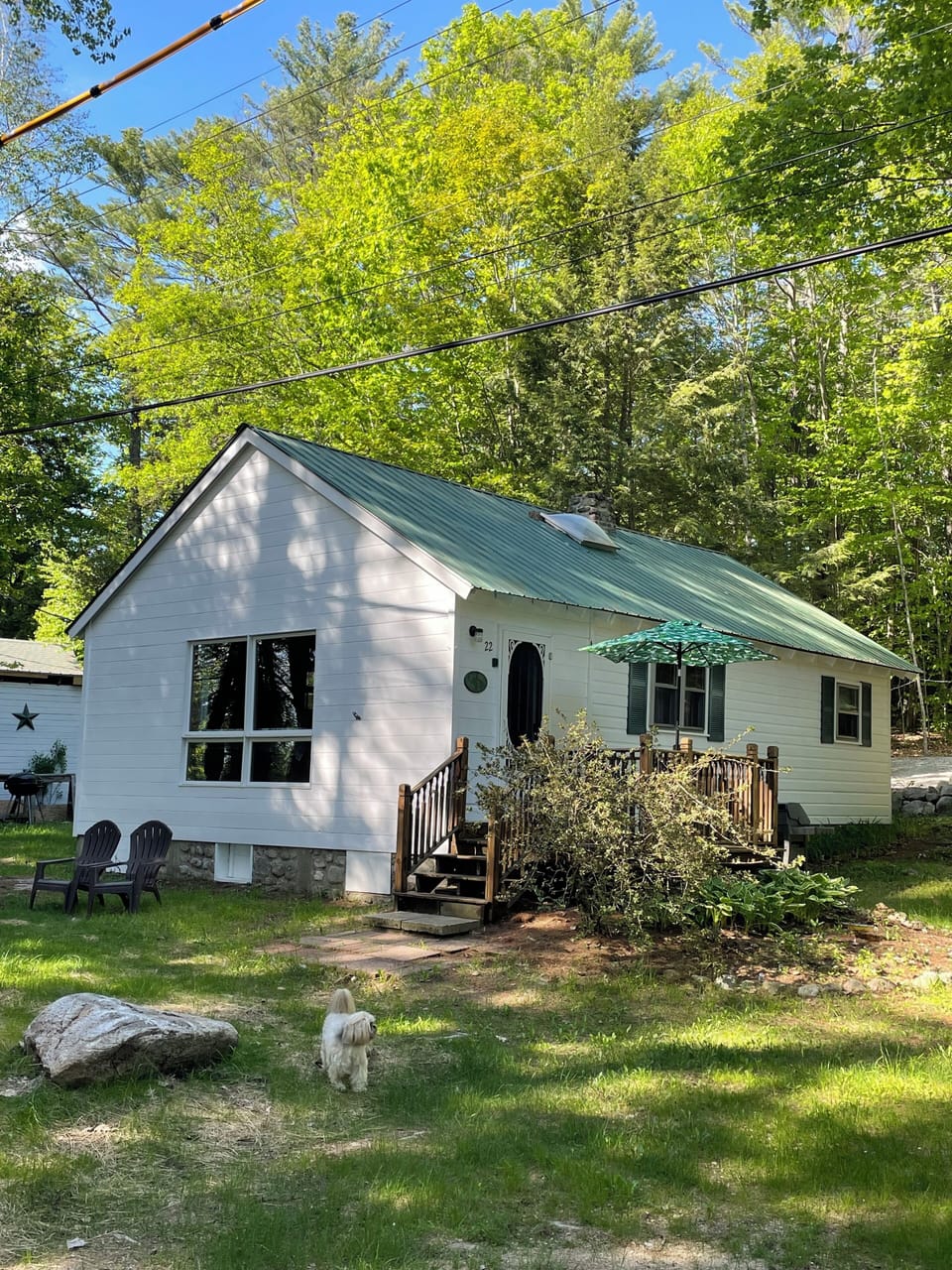 View of the cabin