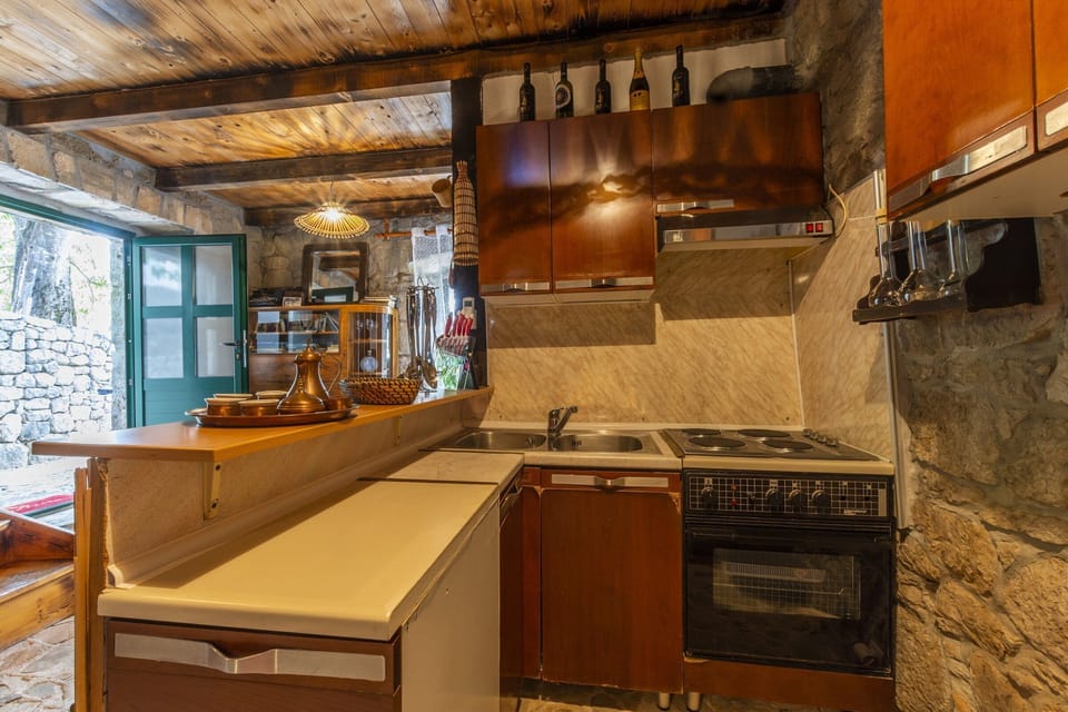 House (Family studio (Nikola HH)) | Private kitchen | Fridge