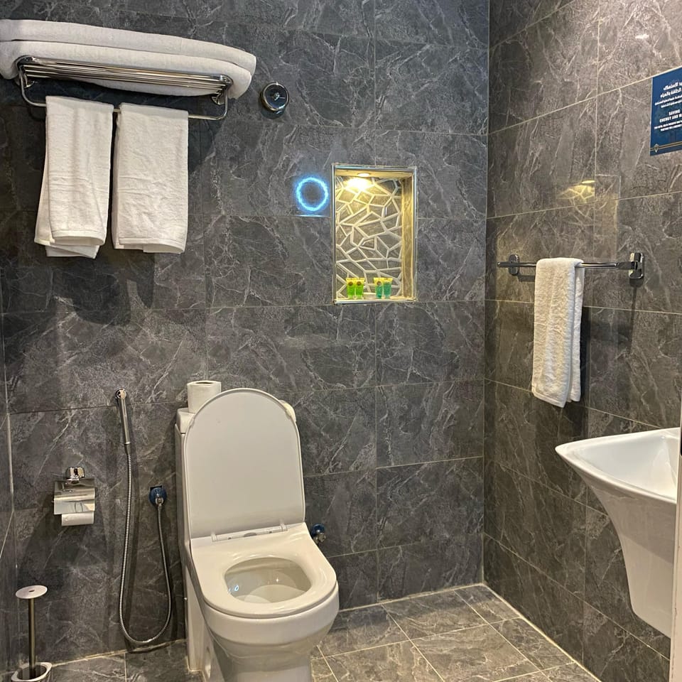 Deluxe Double Room | Bathroom | Hair dryer, soap, shampoo, toilet paper