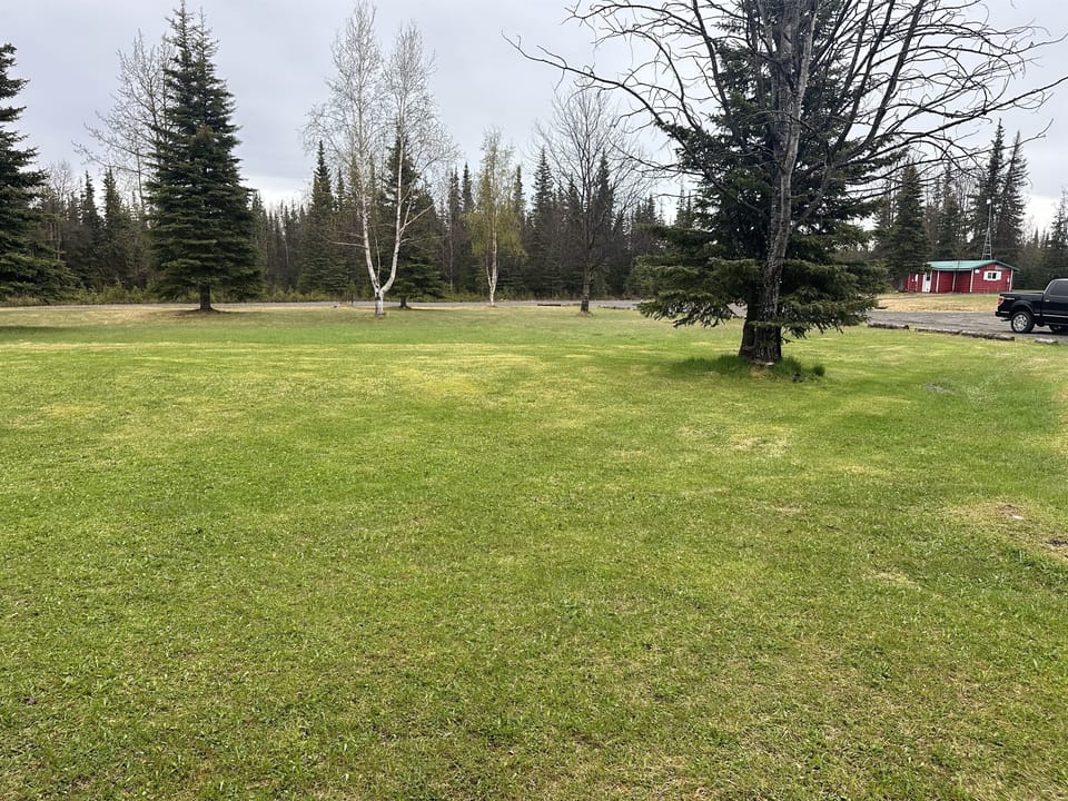 Shared Lawn