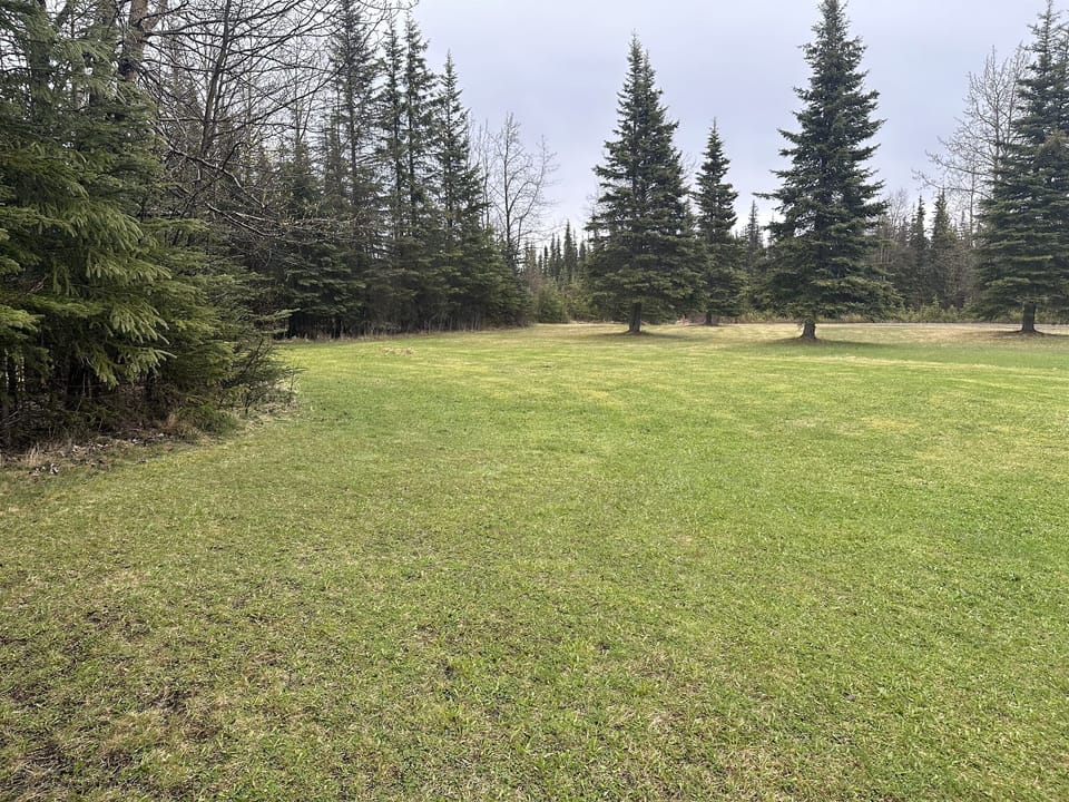 Shared Lawn