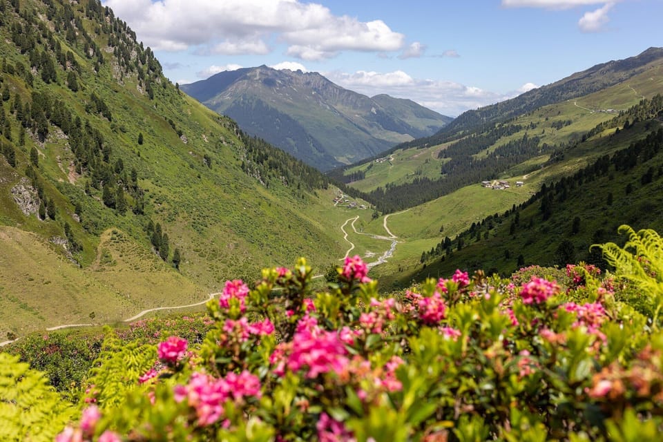 Surroundings [summer] (1-5 km)