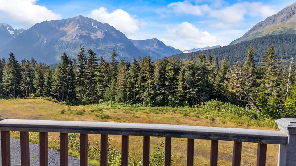 Deck Views