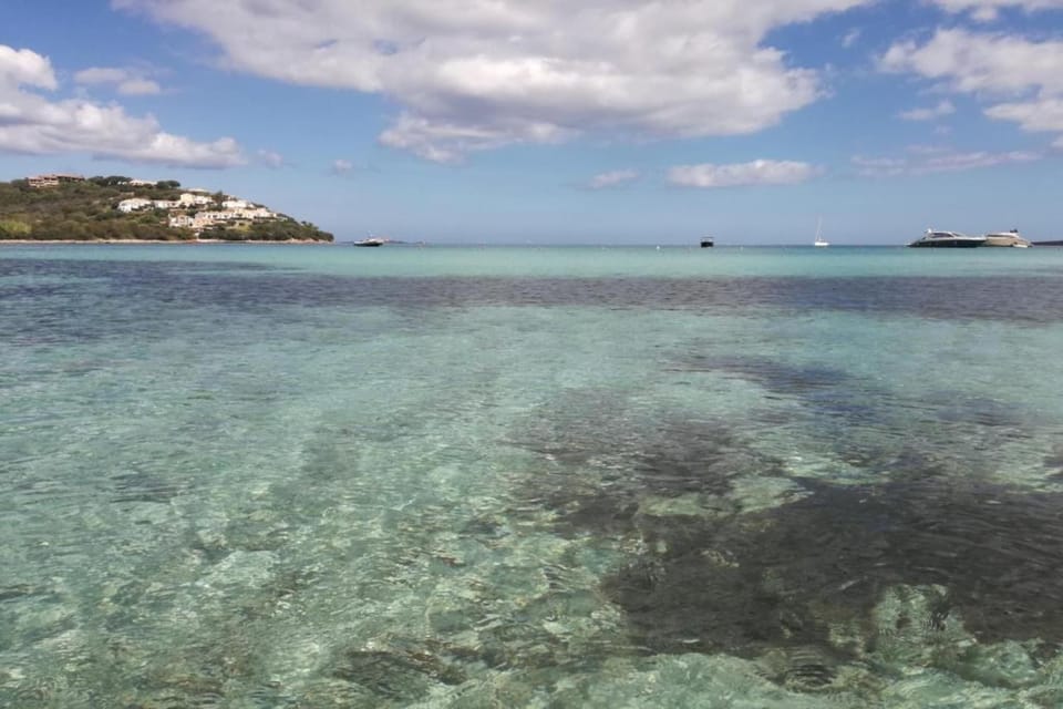 Surroundings [summer] (1-5 km)