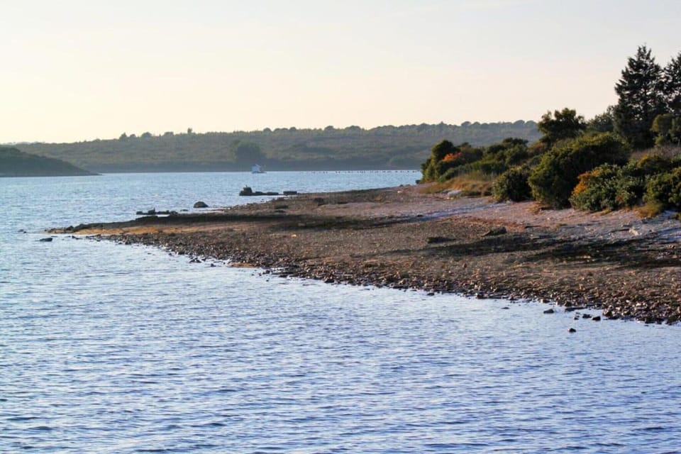 Surroundings [summer] (1-5 km)