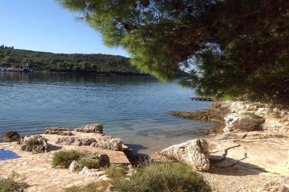Region [summer] (>5 km)