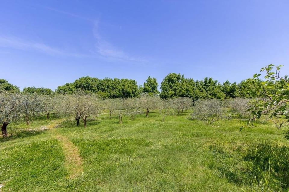 Surroundings [summer] (1-5 km)