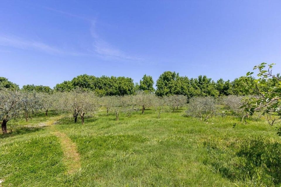 Surroundings [summer] (1-5 km)