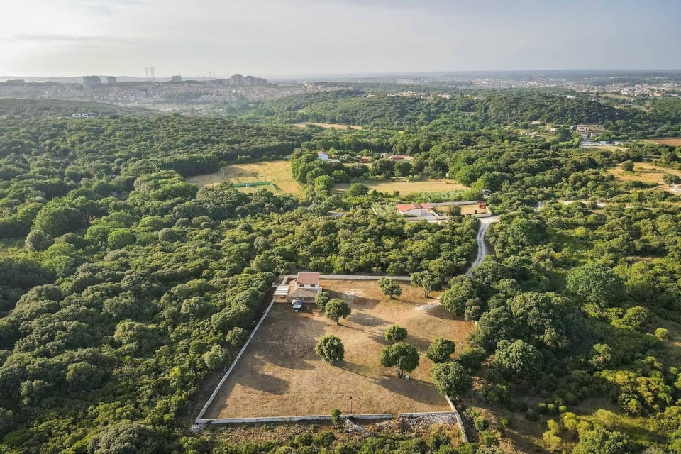 Surroundings [summer] (1-5 km)