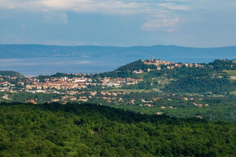Region [summer] (>5 km)