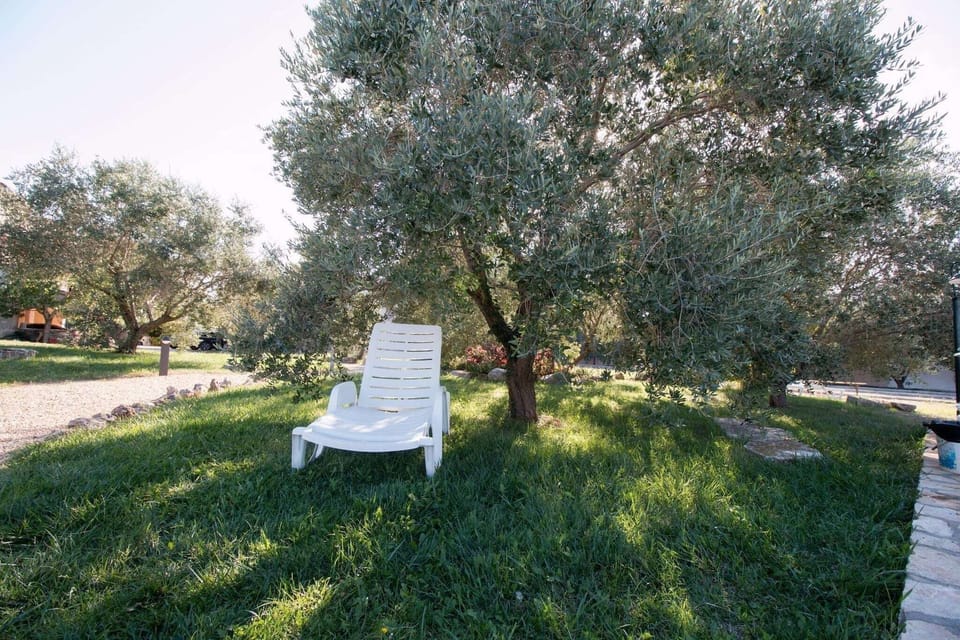 Garden [summer]