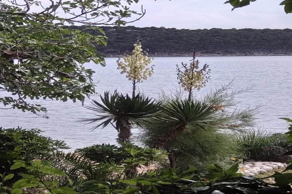 Region [summer] (>5 km)