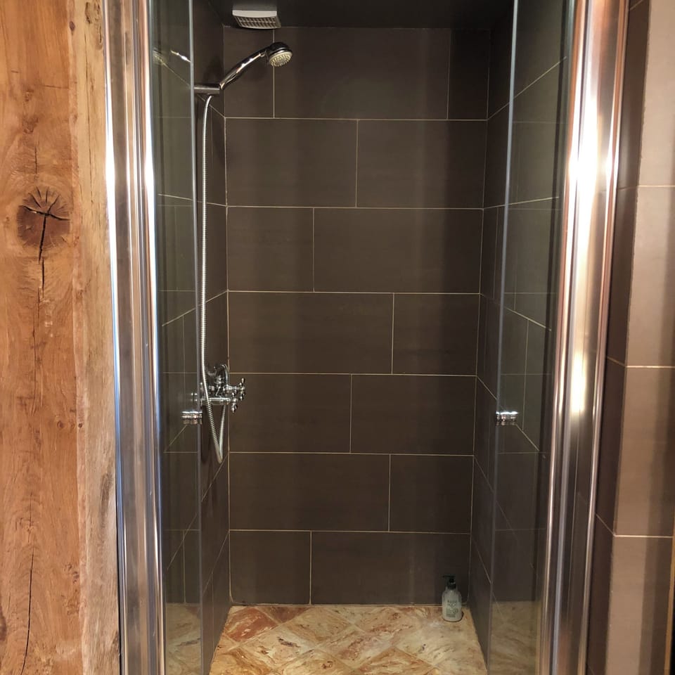 Shower, hair dryer, bathrobes, towels