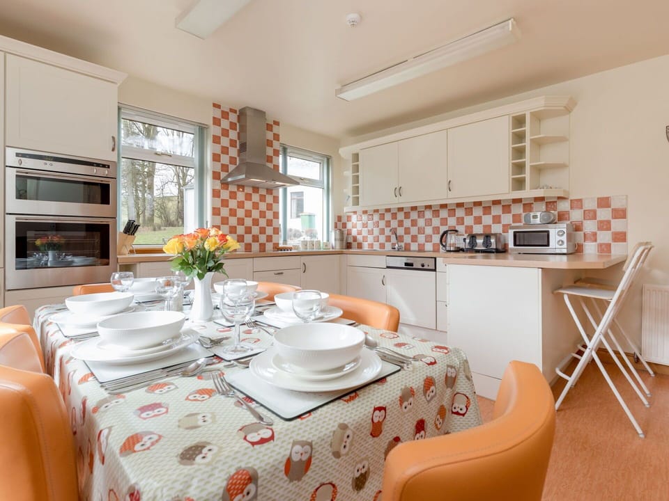 Interior Design, Kitchen, Flooring, Furniture, Ceiling, Room, Countertop, Floor, Cabinetry, Kitchen Appliance