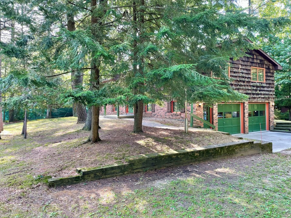 This serene home is a genuine tribute to the forest.