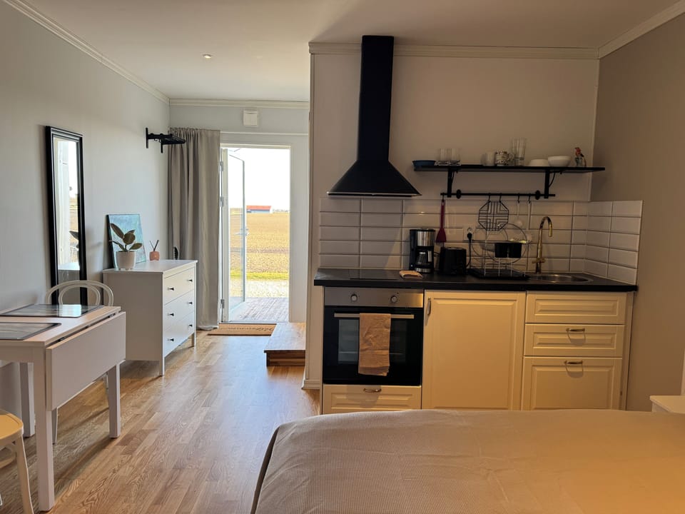 Double Room | Private kitchen | Full-size fridge, microwave, oven, stovetop