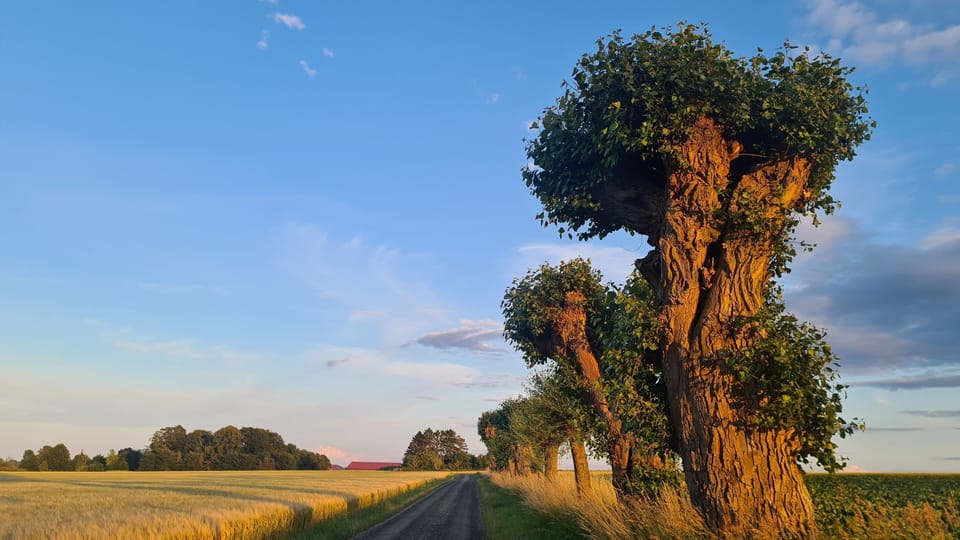 Land view from property