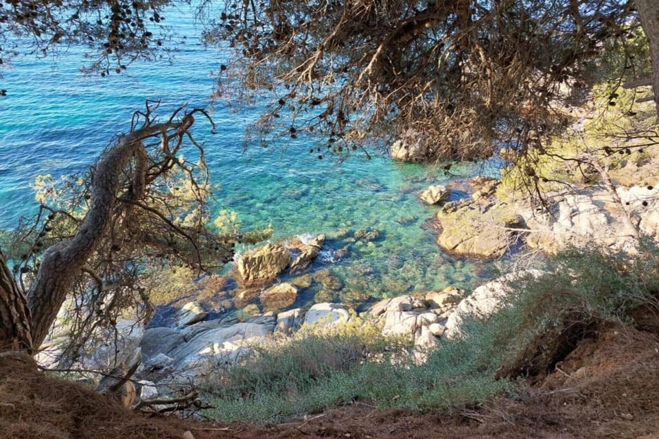 Surroundings [summer] (1-5 km)
