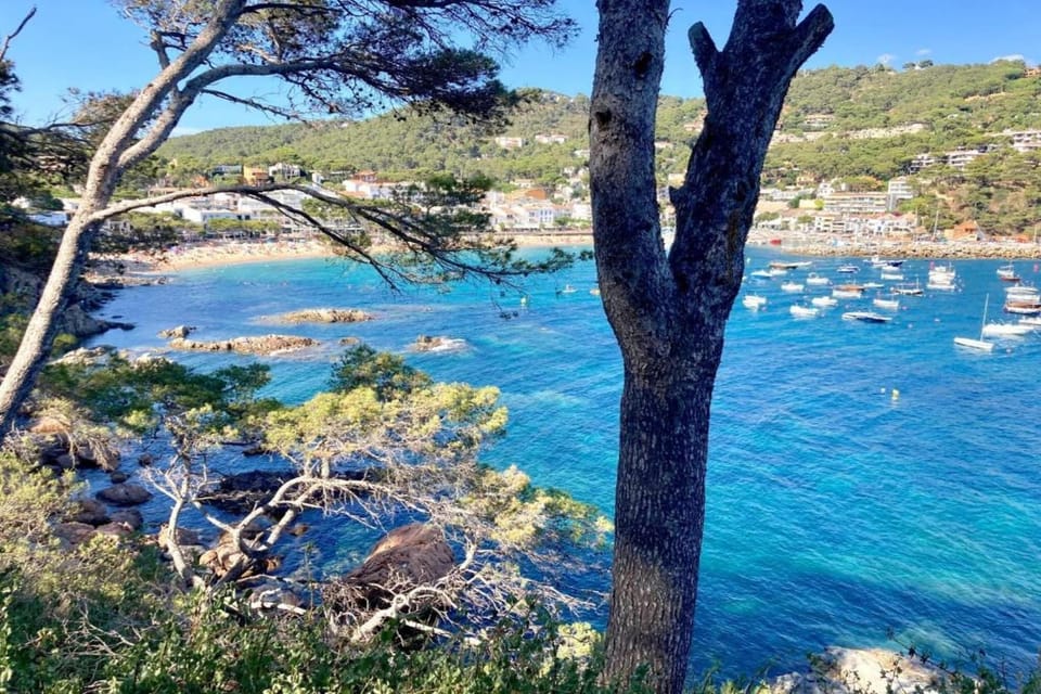 Region [summer] (>5 km)